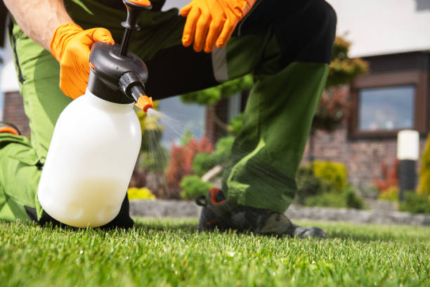 Best Commercial Pest Control Services  in Smithville, TX